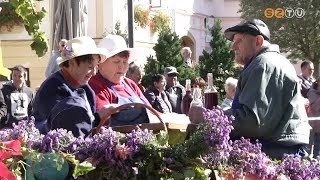 Kőszegi szüreti felvonulás