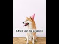 4 Ideas to Celebrate Your Dog’s Birthday