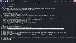 Classic Docker Escape