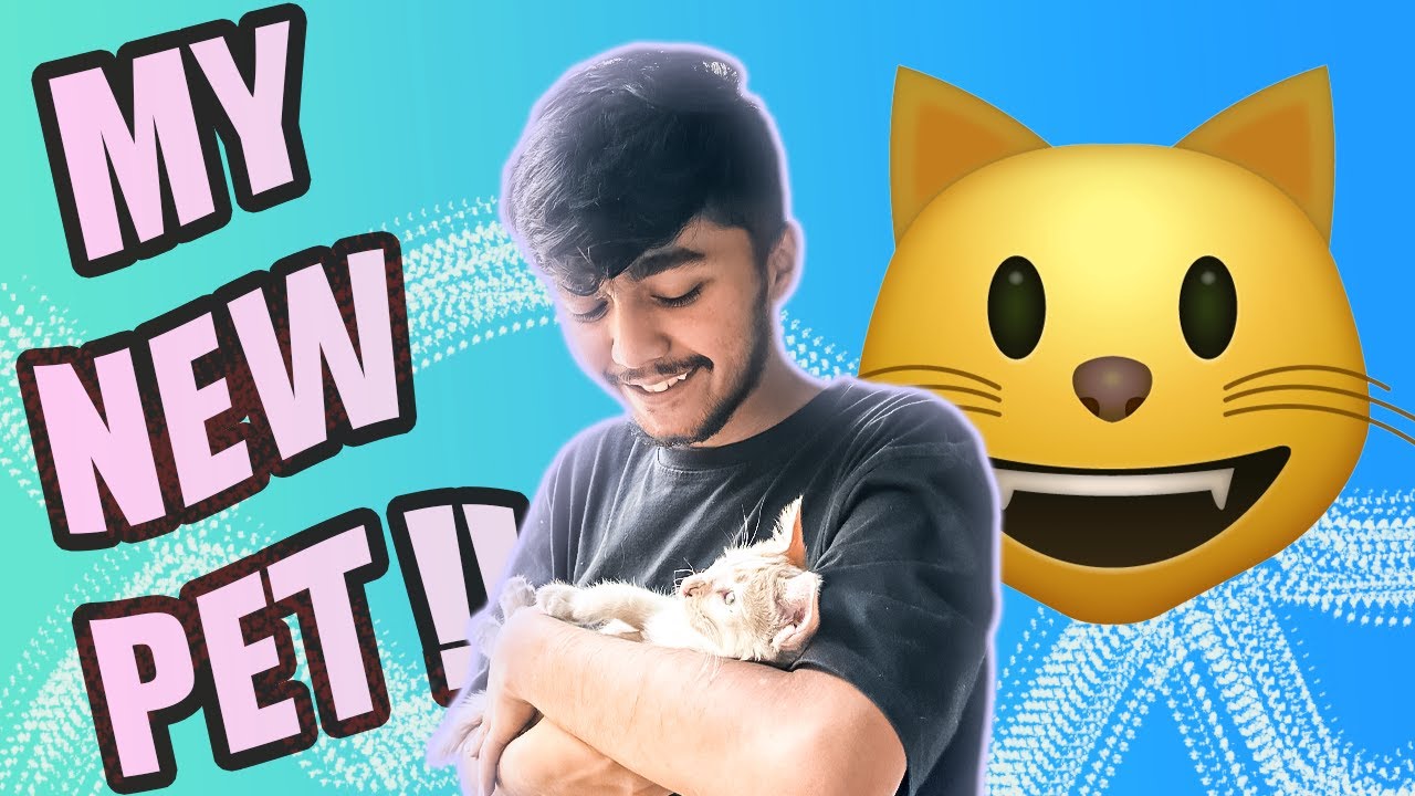 My New Pet Youtube