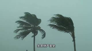 台风格美威力大揭秘：沿海城市如何应对