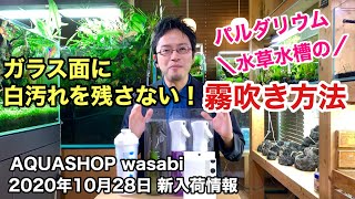 水草水槽立ち上げ・ミスト式・パルダリウム・テラリウムに最適な霧吹き方法とは！「白汚れがつかない方法」 AQUASHOP wasabi２０２０年１０月２８日新入荷情報 ADAネイチャーアクアリウム初心者