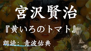 【朗読】【寝る前にも】黄いろのトマト/宮沢賢治_朗読：青波佑典_Japanese_voiceover