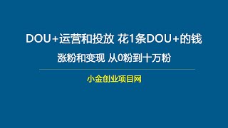 DOU+运营和投放，花1条DOU+的钱，涨粉和变现，从0粉到十万粉 3、投放技巧  花更少的钱得到更大的价值