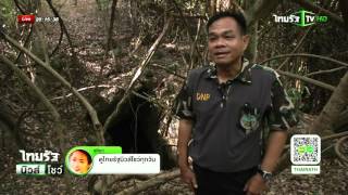 ย้อนรอยค้างคาวเมืองกาญจน์ตาย | 09-11-58 | ไทยรัฐนิวส์โชว์ | ThairathTV