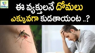 బీర్ తాగే వ్యక్తులను దోమలు ఎక్కువగా కుడుతాయట  ! -   మన ఆరోగ్యం తెలుగు హెల్త్ టిప్స్