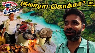 🇩🇴 கரிபியன் பிரியாணியும் மீன் வறுவலும் | DR Ep6