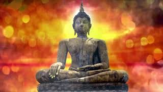The Sound of Inner Peace 14 | 528 Hz | Reiki Music, Energy Healing, Nature Sounds, Zen Meditation
