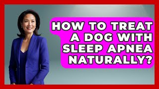 How To Treat A Dog With Sleep Apnea Naturally? - Sleep Wellness Workshop