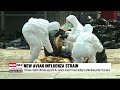 china reports first human case of h3n8 bird flu