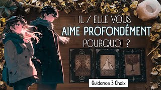 ❤‍🔥 Il / Elle Vous *AIME PROFONDÉMENT* Pourquoi ?!🤫  (Guidance Sentimentale à 3 Choix) 🔮