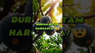 Durian Black Thorn: Durian Premium dengan Harga Selangit! #feedshorts #durian