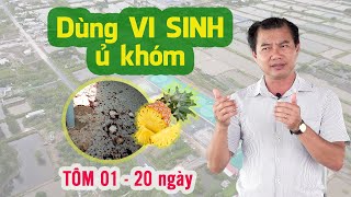 Cách dùng VI SINH ủ khóm - Tôm ương