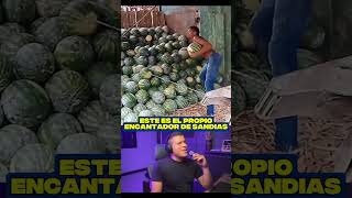 El encantador de sandias 😂😂