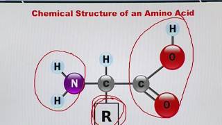 Topic 153 (BIF401 - Bioinformatics I)