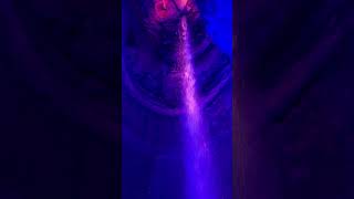 📍 Ruby Falls in Chattanooga, TN // Full video on the channel