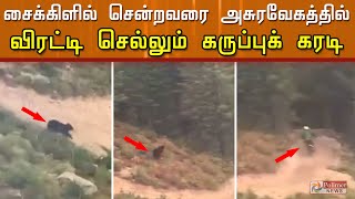 சைக்கிளில் சென்றவரை அசுரவேகத்தில் விரட்டிச் செல்லும் கருப்புக் கரடி