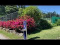 4k queenstown garden ｜ newzealand walk ｜紐西蘭皇后鎮花園