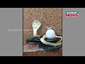 cobra snake around lord shivling in puri priest offers puja