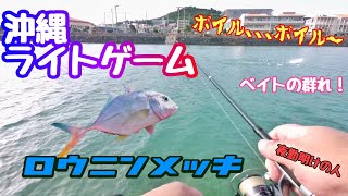 【沖縄の釣り】夜勤明けのライトゲーム