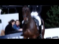 helsinki international horse show 2013