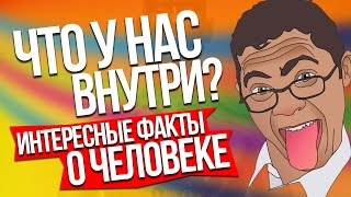 [5 умных мыслей] Интересные факты о теле человека. Часть 2.