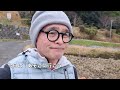 お礼参りとプチ登山