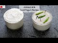 Almond Milk Curd Recipe - How To Make Homemade Vegan Almond Yogurt - Vegan Curd | Skinny Recipes