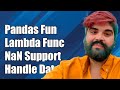 Pandas Lambda Function with NaN Support: Handling Missing Data Efficiently