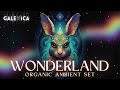 galexica wonderland * organic ambient set ethnic downtempo folktronica