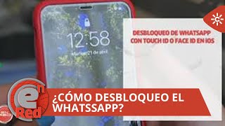 ¿Cómo desbloqueo el WhatsApp? | EnRed