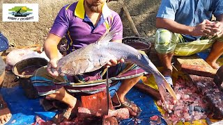 রিটা মাছ কাটার সহজ উপায় | Rita fish cutting | Ritha fish। রিটা মাছ। fish cutting