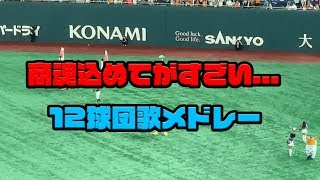 【オールスター】11球団の商魂込めてがすごい...オールスター球団歌メドレー！