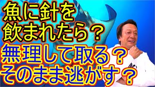 【村田基】魚に針を飲まれた時の対処法は？無理やり取る？そのままリリース？それとも・・・