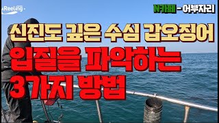 신진도 깊은 수심 #갑오징어 입질을 파악하는 3가지 방법