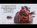 The Worst Animal Parents in the World!