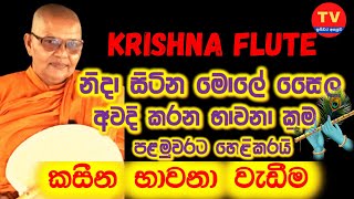 නිදා සිටින මොලේ සෛල අවදි කරන භාවනා ක්‍රම පළමුවරට හෙළිකරයි |isiwara asapuwa|gothami maniyo|2021