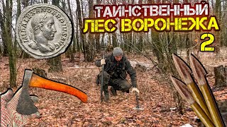 ЗДЕСЬ ВСЁ ЕСТЬ -Римские Динарии, Скифские наконечники, Древние топоры и имперское серебро! Воронеж!)