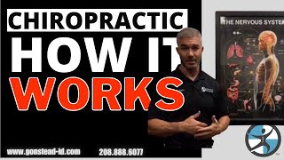 Meridian Idaho Chiropractic Care How Does It Work | Best Meridian Idaho Chiropractor Dr Todd Pickman