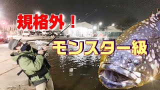 【台湾で釣りチャレンジ】大きな魚に引っ張りまわされたい！そんな願望を胸に、台湾の南にスーパーモンスター級の魚遊べる場所が有ると聞いたので台湾新幹線で台湾高雄に行ってきました。楽しい台湾娯楽の紹介です