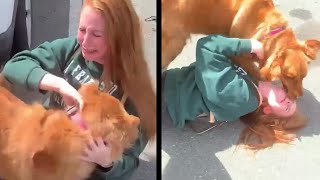 Animals Reunited With Owners AFTER YEARS! #2