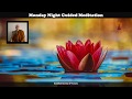 Guided Meditation - BSV | Ajahn Nissarano - Mudita (Joy of others qualities) | 24 Feb 2020