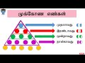 sitpi frs _ grade 05 நுண்ணறிவு முக்கோணிகளின் எண்ணிக்கை காணல்.