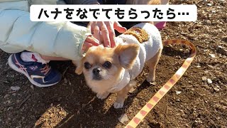 散歩中のハナを撫でてもらった結果…【うわうわ犬】