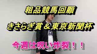 【粗品競馬切抜き】　きさらぎ賞　東京新聞杯　回顧