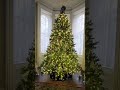 Christmas Trees in an 1800's Mansion #Christmas