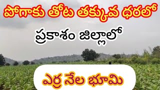 తక్కువ ధరలో పోగాకు వ్యవసాయ భూమి అమ్మబడును | Low Price Tobacco Cultivation Land For Sale