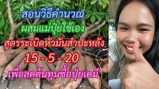 สอนวิธีคำนวณ ผสมแม่ปุ๋ยใช้เอง สูตรระเบิดหัวมันสำปะหลัง 15 5 20 เพื่อลดต้นทุนซื้อปุ๋ยเคมี | เกษตรตำบล