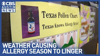 Austin's record-breaking allergy season explained