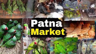 Patna Birds Market New Video || Birds Market Bihar Patna | पटना का चिड़िया बाजार